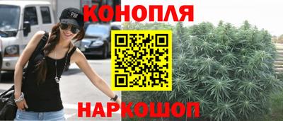 шишки Тула