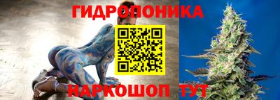 шишки Тула