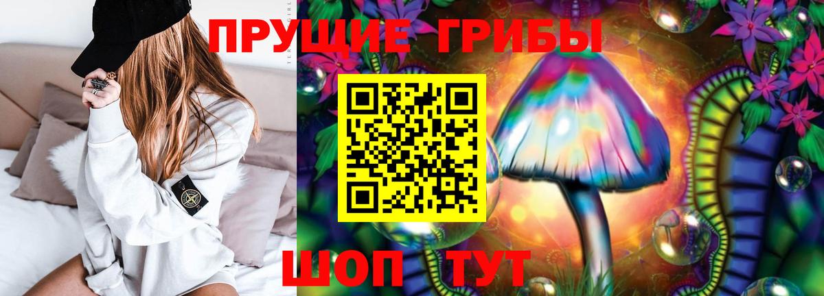 Псилоцибиновые грибы MAGIC MUSHROOMS  Вход с VPN  Нижнеудинск 