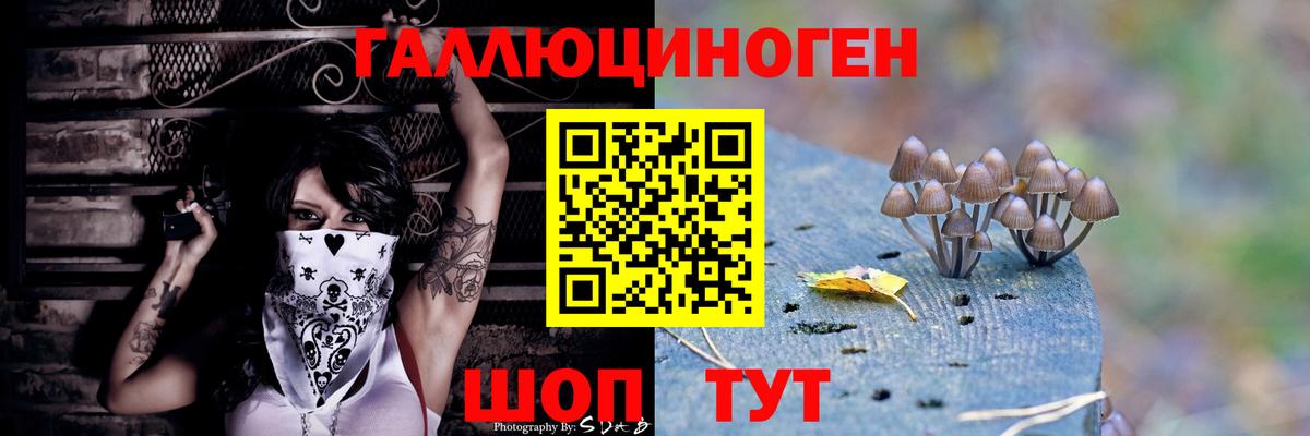 Галлюциногенные грибы прущие грибы Нижнеудинск